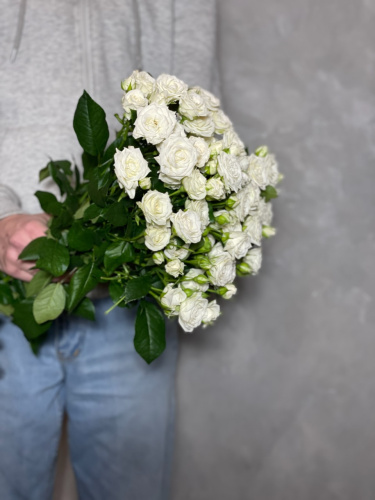 Кустовая роза Жозефина 60 см.