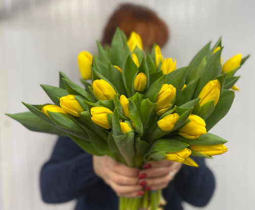 Букет 25 желтых тюльпанов