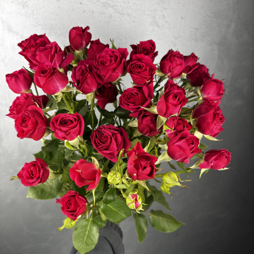 Красная роза сорт RUBICON 60см