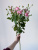 Кустовая роза Фемке 70 см.