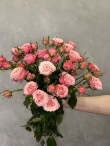 Кустовая роза Корал Йо-йо 70 см.
