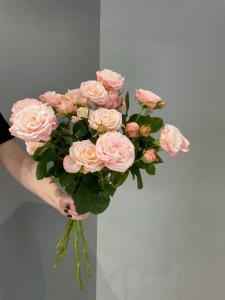 Кустовая роза Бомбастик