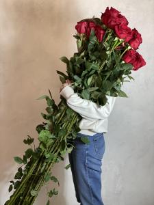 Розы-гиганты 170 см.