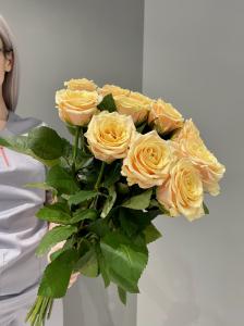 Розы Беллини (Bellini) 50 см.