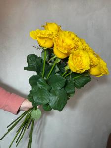 Розы Палмарес (Palmares) 80 см.