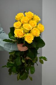 Розы Пенни Лейн (Penni Lane) 70 см.