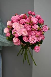 Кустовая роза Мадам Бомбастик