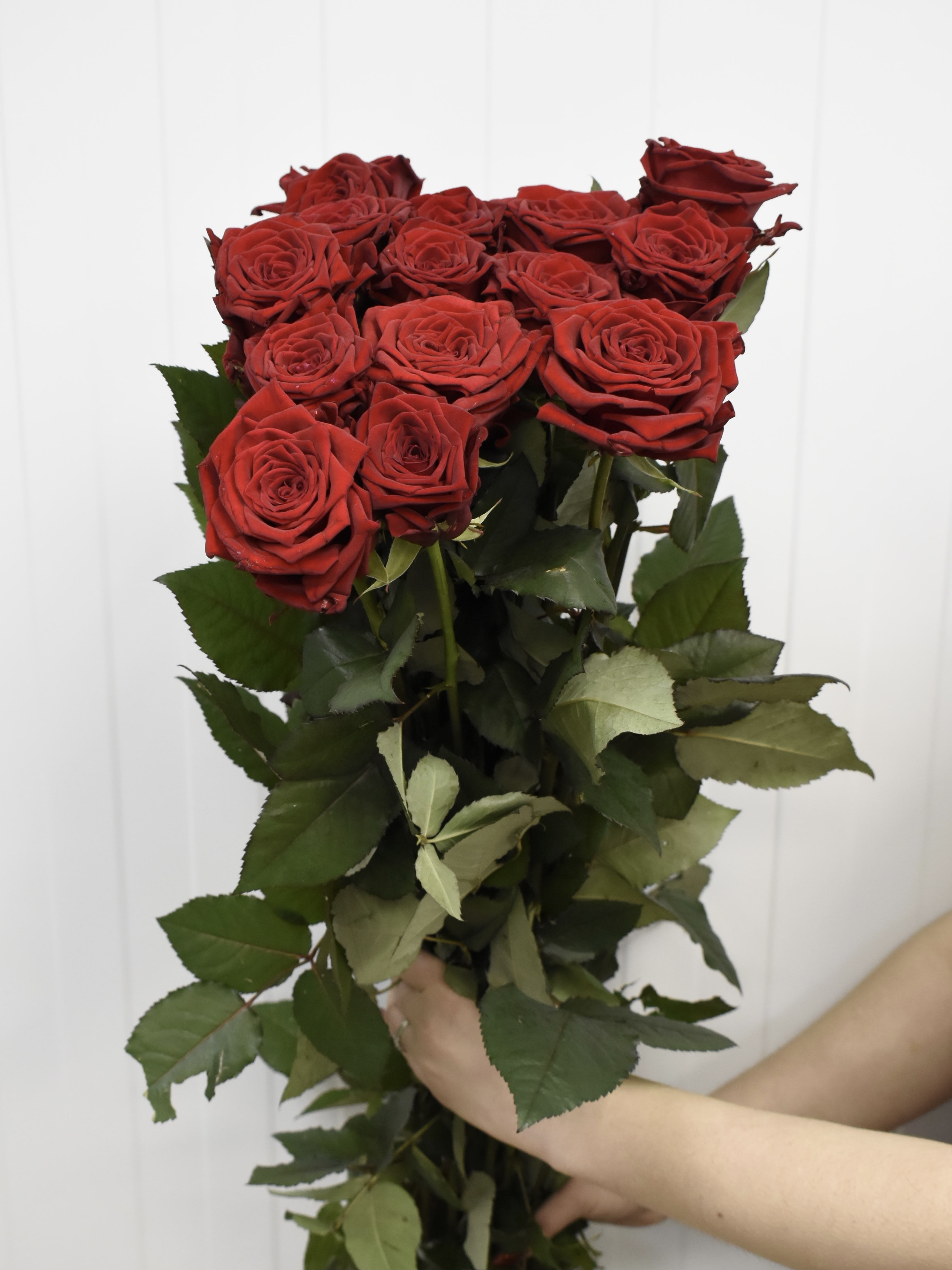 Ред Наоми роза 50 см