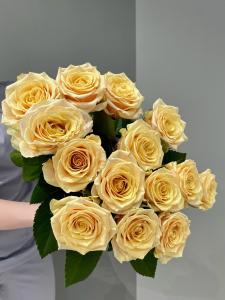 Розы Беллини (Bellini) 60 см.