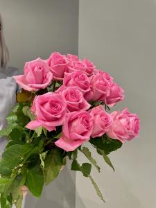 Розы Ревайвл (Revival) 80 см.