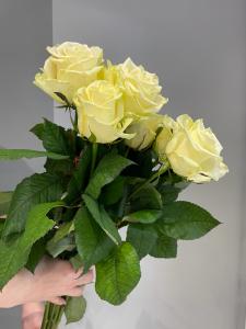 Розы Магади (Magadi) 60 см.