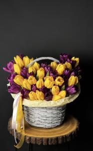 Корзина с микс тюльпанов