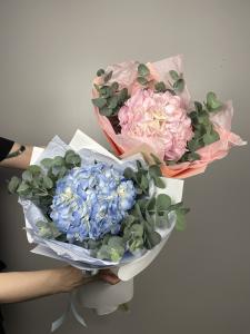 Гортензия в дизайнерской упаковке