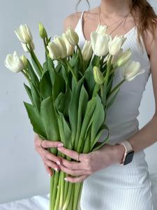 Белоснежные тюльпаны