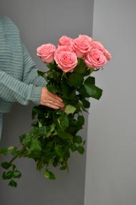 Розы Софи Лорен (Sophie Loren) 60 см.