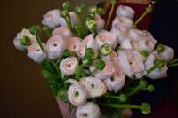 Букет «Стильный ханой»