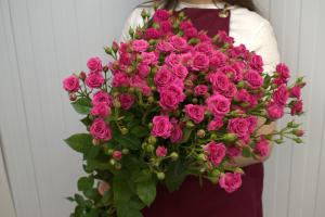 Ярко-розовая кустовая роза Лавли Лидия