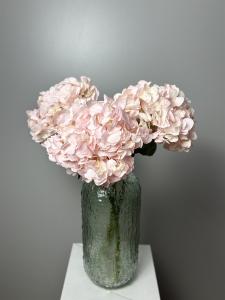 Гортензия Розовая