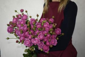 Кустовая пионовидная роза Мисти баблс 50 см.