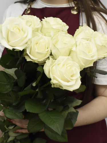 Розы Аваланш (Avalanche) 80 см.