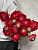 Ранункулюс красный 