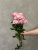 Кустовая роза Сильва пинк 70см