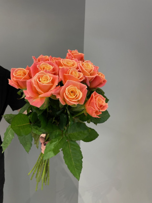 Розы Мисс Пигги (Miss Piggy) 60 см.