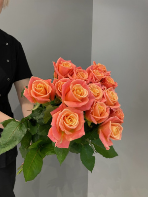 Розы Мисс Пигги (Miss Piggy) 60 см.