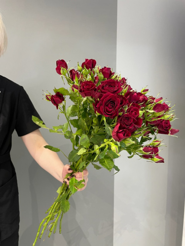 Кустовая роза Мирабель 70