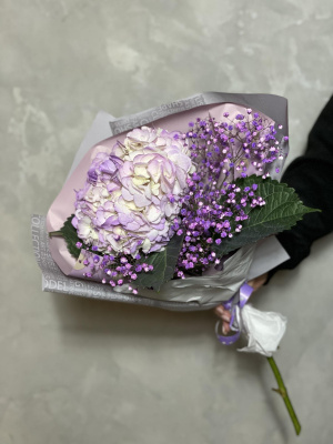 Гортензия с гипсофилой в дизайнерской упаковке