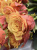 Розы Испания (Ispania) 60 см.