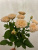 Кустовая роза Таня 60 см.