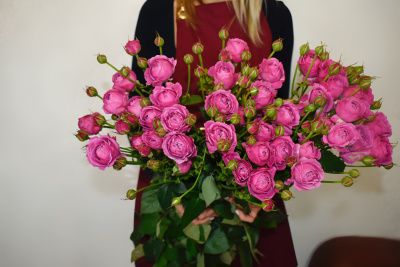 Букет из 9 веток Мисти баблс