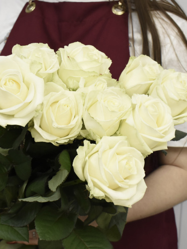 Розы Аваланш (Avalanche) 80 см.