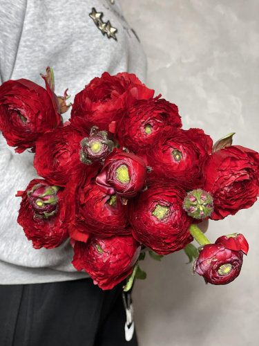 Ранункулюс красный 