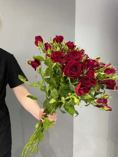 Кустовая роза Мирабель 70