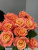 Розы Мисс Пигги (Miss Piggy) 50 см.