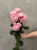 Кустовая роза Сильва пинк 70см