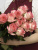 Розы Джумилия (Jumilia) 50 см.