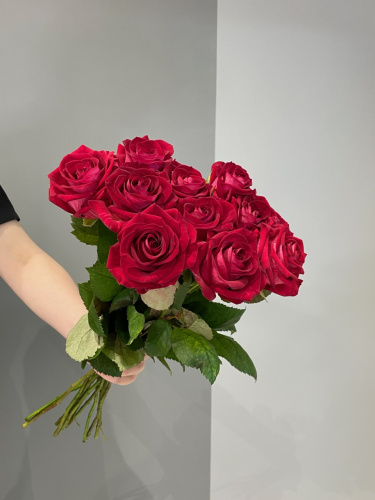Розы Чири (Chiri) 50 см.