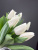 Тюльпаны белые 