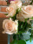 Подставка на 9 колб с кустовыми розами