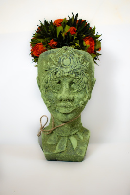 Африканка кашпо