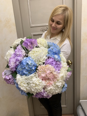 Букет-микс из 21 гортензии «Северное сияние»