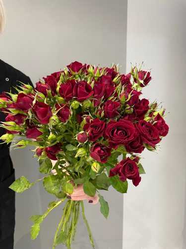 Кустовая роза Мирабель 70