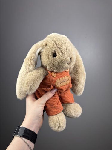 Зайки в костюмах