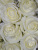 Розы Аваланш (Avalanche) 60 см.