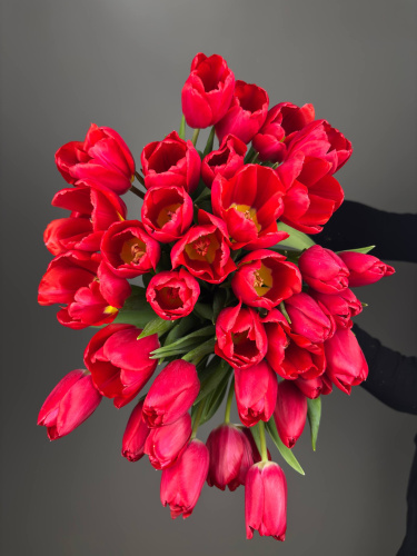 Тюльпаны красные