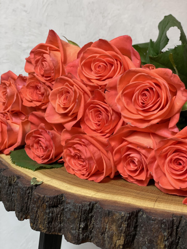 Розы Вау (Wow) 70 см.