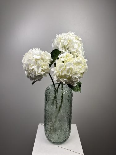 Гортензия Белая